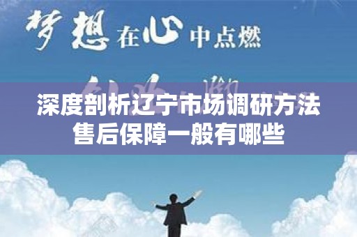 深度剖析辽宁市场调研方法售后保障一般有哪些