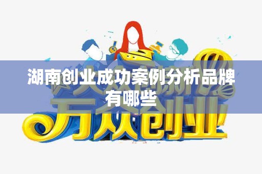 湖南创业成功案例分析品牌有哪些