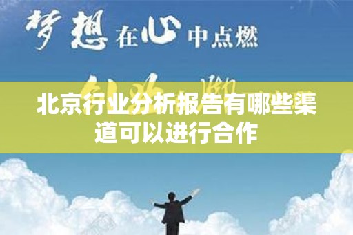 北京行业分析报告有哪些渠道可以进行合作
