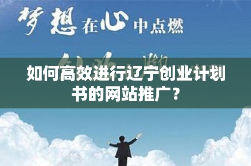 如何高效进行辽宁创业计划书的网站推广？