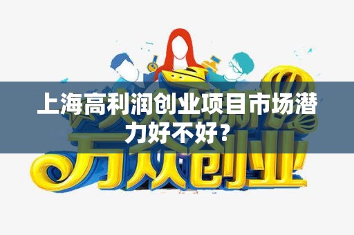 上海高利润创业项目市场潜力好不好？