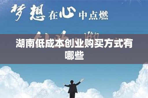 湖南低成本创业购买方式有哪些