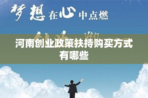 河南创业政策扶持购买方式有哪些