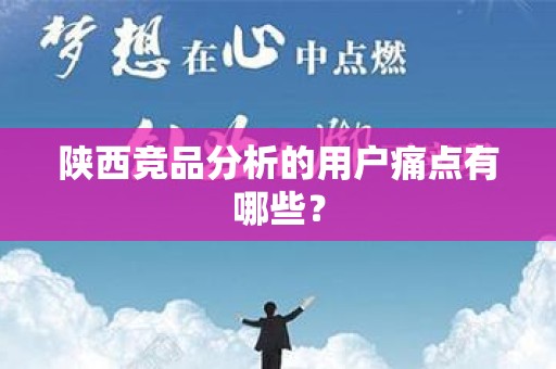 陕西竞品分析的用户痛点有哪些？