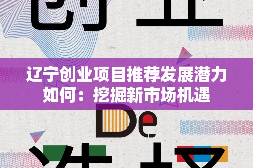 辽宁创业项目推荐发展潜力如何：挖掘新市场机遇