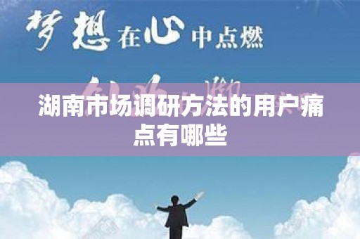 湖南市场调研方法的用户痛点有哪些