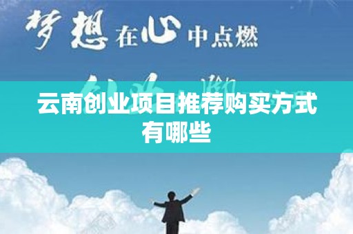 云南创业项目推荐购买方式有哪些