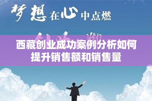 西藏创业成功案例分析如何提升销售额和销售量
