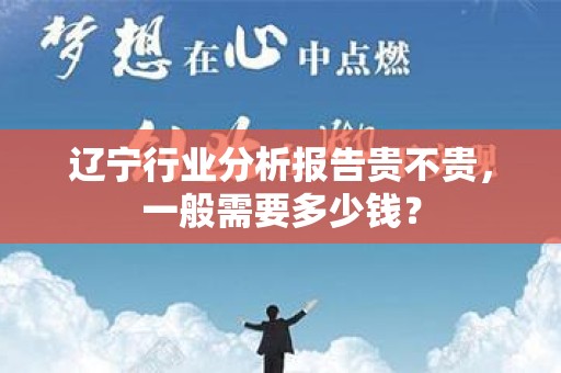 辽宁行业分析报告贵不贵，一般需要多少钱？