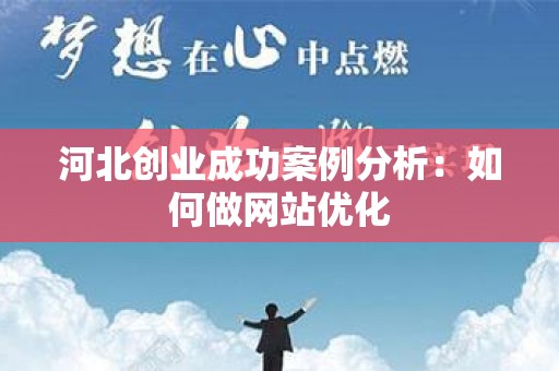 河北创业成功案例分析：如何做网站优化