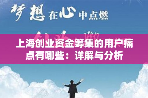 上海创业资金筹集的用户痛点有哪些：详解与分析
