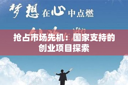 抢占市场先机：国家支持的创业项目探索