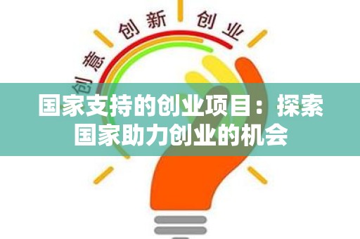 国家支持的创业项目：探索国家助力创业的机会