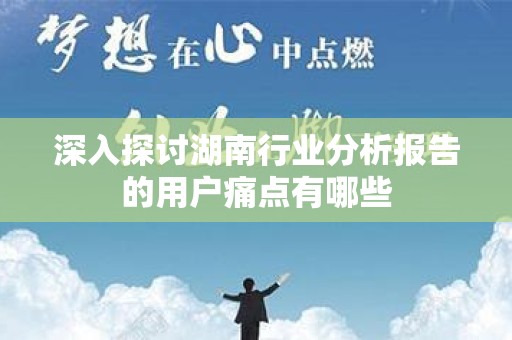 深入探讨湖南行业分析报告的用户痛点有哪些
